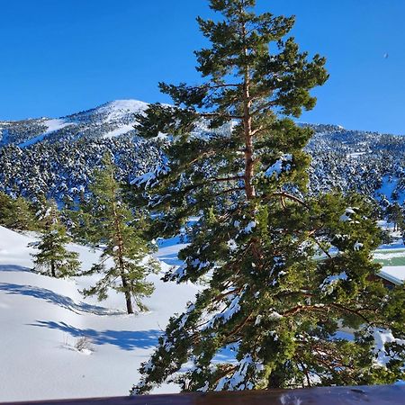 Greolieres Les Neiges Apartman Kültér fotó