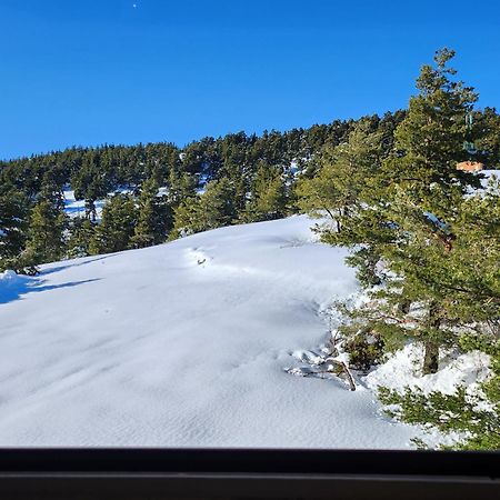 Greolieres Les Neiges Apartman Kültér fotó