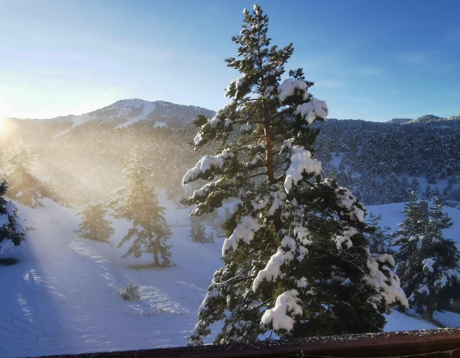 Greolieres Les Neiges Apartman Kültér fotó